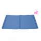 Tapis rafrachissant BRRRIVIDINO