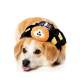 Peluche Tarentule Squelette 