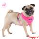 Harnais PUPPIA Neon