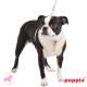 Harnais PUPPIA 