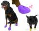 Bottes de protection PAWZ 
